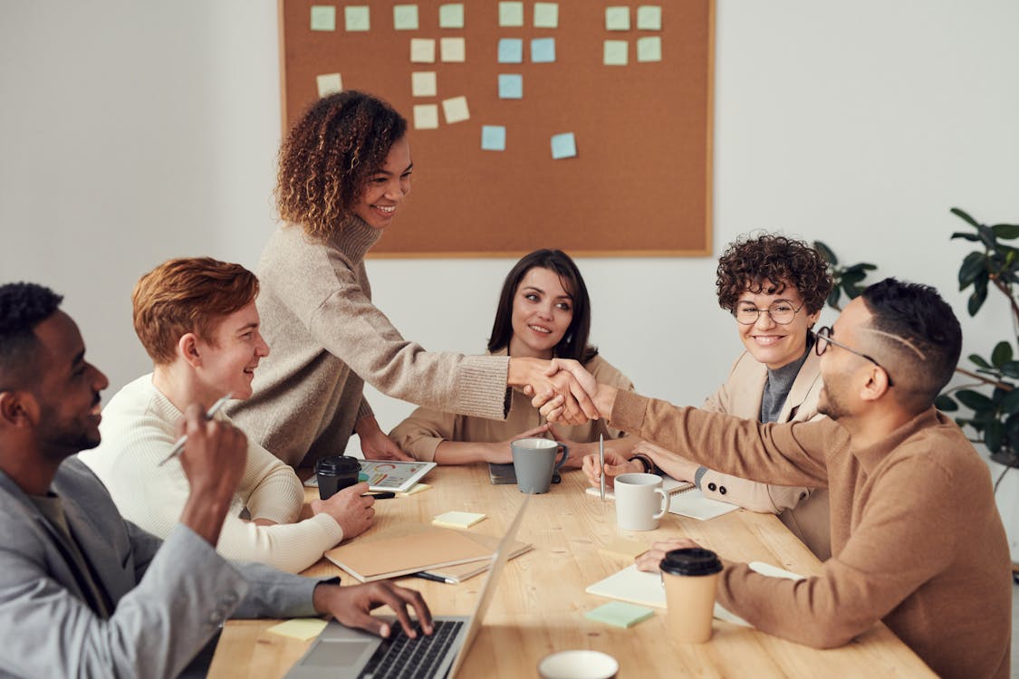 Professional IT consultation meeting